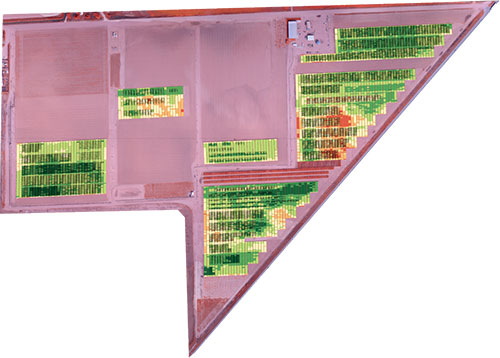 ndvi-plant-health-bins